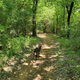 Illustration for article titled Toby exploring Denton, TX